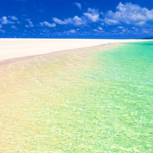 夏の予約は120日前の今がチャンス！